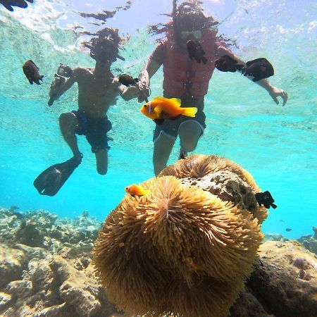 Ocean Vista Maldives,Maafushi Otel Dış mekan fotoğraf