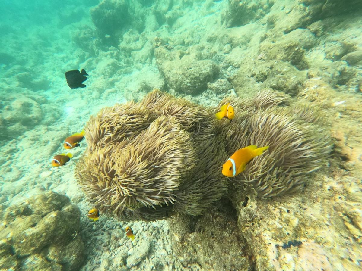Ocean Vista Maldives,Maafushi Otel Dış mekan fotoğraf